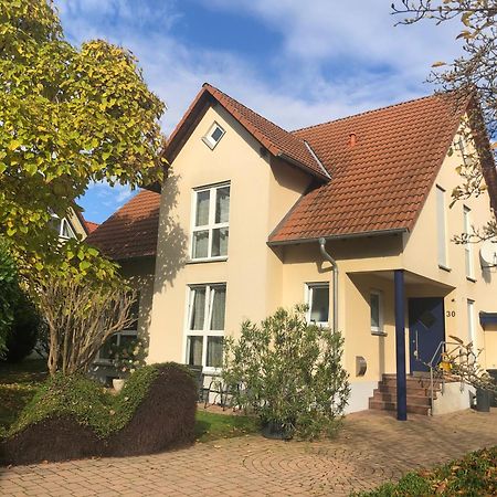Bochingen Ferienwohnung Suedpfalz Mit Fernblick מראה חיצוני תמונה