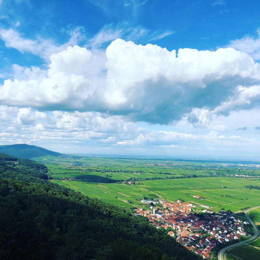 Bochingen Ferienwohnung Suedpfalz Mit Fernblick מראה חיצוני תמונה
